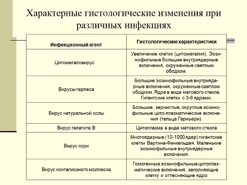 Характерные гистологические изменения при различных инфекциях